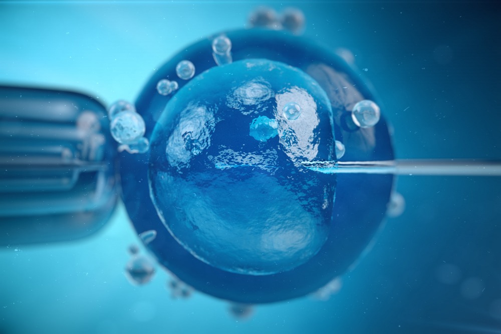difference between IUI and IVF