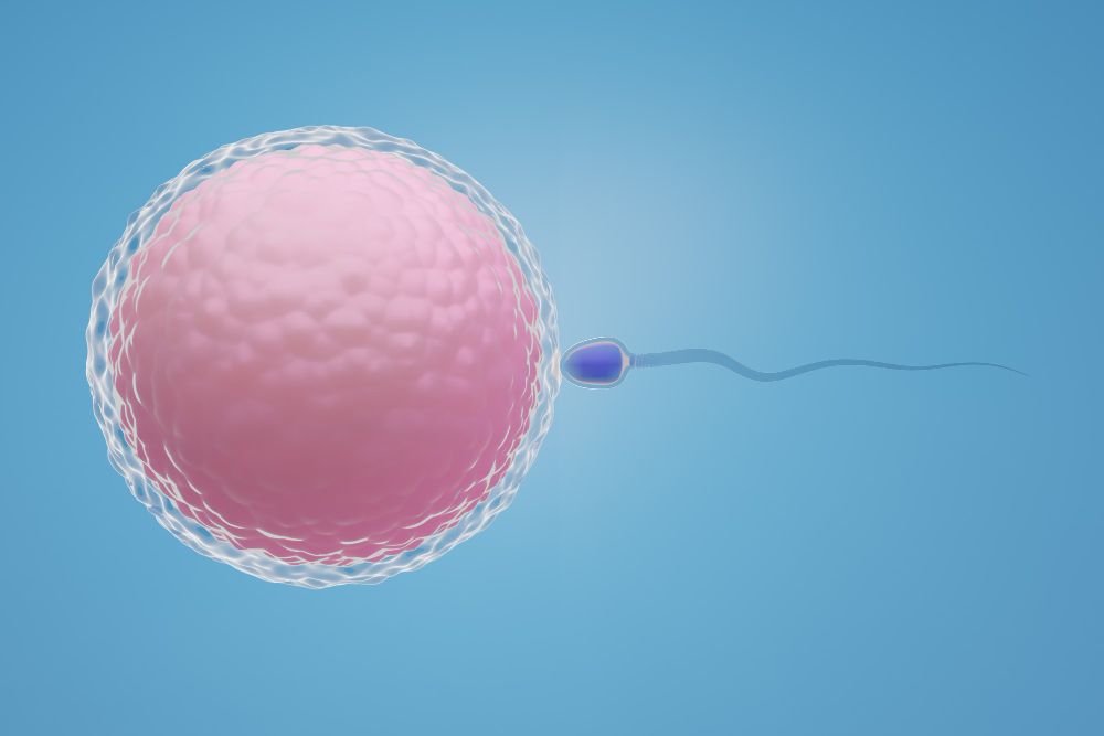 ivf